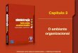 Administração: teoria e prática no contexto brasileiro © 2008 Pearson Prentice Hall Capítulo 3 O ambiente organizacional