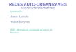 REDES AUTO-ORGANIZAVEIS (MAPAS AUTO-ORGANIZÁVEIS) Apresentação: James Andrade Walter Borysow IFSP – Mestrado em Automação e Controle de Processos