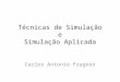 Técnicas de Simulação e Simulação Aplicada Carlos Antonio Fragoso