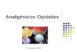 Analgésicos Opióides 1º semestre 2009. Opióides Referem-se a todos os compostos relacionados ao ópio. Substâncias naturais contidas no ópio, como a morfina,