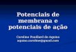 Potenciais de membrana e potenciais de a§£o Caroline Pouillard de Aquino  @gmail.com