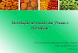 Introdução ao estudo das Frutas e Hortaliças Processamento de Alimentos de Origem Vegetal Prof a. Sandra R. B.Silva 2º modulo