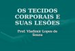 OS TECIDOS CORPORAIS E SUAS LESÕES Prof. Vladimir Lopes de Souza