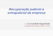 Recuperação judicial e extrajudicial da empresa © 2008 Ivanildo Figueiredo Faculdade de Direito do Recife - UFPE