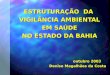 ESTRUTURAÇÃO DA VIGILÂNCIA AMBIENTAL EM SAÚDE NO ESTADO DA BAHIA outubro 2003 Denise Magalhães da Costa
