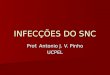 INFECÇÕES DO SNC Prof. Antonio J. V. Pinho UCPEL
