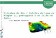 CESAM Centro de Estudos do Ambiente e do Mar Hidratos de Gás / Vulcões de Lama na Margem Sul portuguesa e no Golfo de Cádiz Ecossistemas Marinhos e Modelação