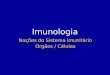 Imunologia Noções do Sistema imunitário Orgãos / Células
