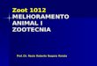 Zoot 1012 MELHORAMENTO ANIMAL I ZOOTECNIA Prof. Dr. Paulo Roberto Nogara Rorato