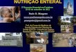 NUTRIÇÃO ENTERAL 2º Encontro Neonatal em Fortaleza 22-23 de setembro de 2011 Paulo R. Margotto  pmargotto@gmail.com.br Prof. do