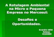 A Rotulagem Ambiental na Micro e Pequena Empresa no Mercosul: Desafios e Oportunidades. Evandro Milet Sebrae 4/12/2009