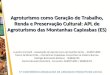 5ª CONFERÊNCIA BRASILEIRA DE ARRANJOS PRODUTIVOS LOCAIS Agroturismo como Geração de Trabalho, Renda e Preservação Cultural: APL de Agroturismo das Montanhas