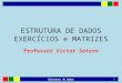 ESTRUTURA DE DADOS EXERCÍCIOS e MATRIZES Professor Victor Sotero Estrutura de Dados 1