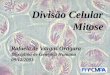 Divisão Celular Mitose Rafaela de Vargas Ortigara Disciplina de Genética Humana 09/12/2003