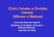 Ciclo Celular e Divisão Celular (Mitose e Meiose) Fernanda Machado Barbieri Disciplina de Genética, Evolução e Biologia Molecular Setembro de 2005