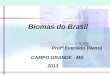 Biomas do Brasil Profº Everaldo (Neno) CAMPO GRANDE - MS 2013