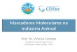 Marcadores Moleculares na Indústria Animal Prof. Dr. Vinicius Campos Disciplina de Biotecnologia Animal Graduação em Biotecnologia - UFPel