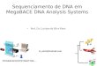 Sequenciamento de DNA em MegaBACE DNA Analysis Systems Prof. Dr. Luciano da Silva Pinto TGTGAACACACGTGTGGATTGG... ls_pinto@hotmail.com