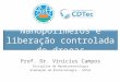 Nanopolímeros e liberação controlada de drogas Prof. Dr. Vinicius Campos Disciplina de Nanobiotecnologia Graduação em Biotecnologia - UFPel