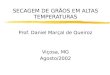 SECAGEM DE GRÃOS EM ALTAS TEMPERATURAS Prof. Daniel Marçal de Queiroz Viçosa, MG Agosto/2002