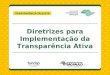 Diretrizes para Implementação da Transparência Ativa