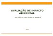 AVALIAÇÃO DE IMPACTO AMBIENTAL AVALIAÇÃO DE IMPACTO AMBIENTAL Prof. Esp. ANTÔNIO ALBERTO MIRANDA 2010