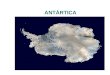 ANTÁRTICA. A Antártica uma das últimas grandes fronteiras. 14 milhões km2 É a mais fria e a mais remota, mais desconhecida e o mais preservada de todos