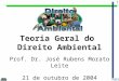 1 Teoria Geral do Direito Ambiental Prof. Dr. José Rubens Morato Leite 21 de outubro de 2004