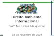 1 Direito Ambiental Internacional Profª. Me. Letícia Albuquerque 18 de novembro de 2004