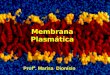 Membrana Plasmática Prof ª. Marisa Dionísio. A membrana celular é a estrutura que delimita todas as células vivas, tanto as procarióticas como as eucarióticas