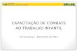 CAPACITAÇÃO DE COMBATE AO TRABALHO INFANTIL Foz do Iguaçu – Novembro de 2012