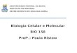 UNIVERSIDADE FEDERAL DA BAHIA INSTITUTO DE BIOLOGIA DEPARTAMENTO DE BIOLOGIA GERAL Biologia Celular e Molecular BIO 158 Prof a.: Paula Ristow