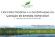 Florestas Públicas e a Contribuição na Geração de Energia Renovável - 6º Congresso Internacional de Bioenergia - Curitiba, Agosto de 2011 Marcus Vinicius
