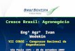 Cresce Brasil: Agronegócio Engº Agrº Ivan Wedekin VII CONSE – Congresso Nacional de Engenheiros São Paulo (SP) – 25 de setembro 2009