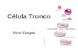 Vera Vargas Célula Tronco. Definição de célula tronco Células-tronco são as células com capacidade de auto-replicação, isto é, com capacidade de gerar