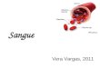 Sangue Vera Vargas, 2011. Sangue Tecido conjuntivo líquido Circula pelo sistema cardiovascular Produzido na medula óssea, volume total de 5,5 litros (homem