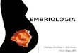 EMBRIOLOGIA Citologia, Histologia e Embriologia Vera Vargas, 2011