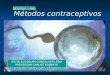 Métodos contraceptivos ESCOLA JOAQUIM GONÇALVES LEDO PROFESSOR CARLOS ROBERTO  BIOLOGIA 1 ANO