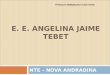 E. E. ANGELINA JAIME TEBET NTE – NOVA ANDRADINA Professora Multiplicadora Carla Varela