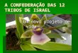 A CONFEDERAÇÃO DAS 12 TRIBOS DE ISRAEL Um novo projeto de vida