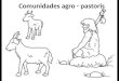 Comunidades agro - pastoris. Há cerca de 15 mil anos, o clima da Terra mudou