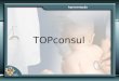 Apresentação TOPconsul. TOPconsul – Esquema geral