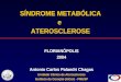 SÍNDROME METABÓLICA e ATEROSCLEROSE FLORIANÓPOLIS 2004 Antonio Carlos Palandri Chagas Unidade Clínica de Aterosclerose Instituto do Coração (InCor) - FMUSP