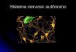 Sistema nervoso autônomo. O sistema nervoso Autônomo é um sistema involuntário que controla e modula as funções, primariamente, dos órgãos viscerais