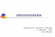 ORGANOGRAMA Organização, Sistemas e Métodos 3º período – CESF Julio Morais