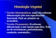 Histologia Vegetal Tecidos Meristemáticos: ainda não sofreram diferenciação (não tem especificidade funcional). Pode ser primário ou secundário. Tecidos