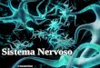 Sistema Nervoso. Tecido nervoso Principal tecido do sistema nervoso Tipos celulares: -Neurônios – condução de impulsos nervosos -Células da Glia – manutenção