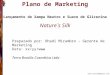Prof.coutinho@terra.com.br Plano de Marketing Nature´s Silk Lançamento do Xampu Neutro e Suave de Glicerina Preparado por: Dhadi Mirambro – Gerente de