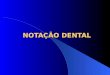NOTAÇÃO DENTAL. NOTAÇÃO DENTAL Processo sinóptico (código) Determina o número (quantidade) Determina situação dos dentes (posição) Indica as falhas (ausência)
