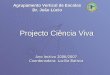 Projecto Ciência Viva Ano lectivo 2006/2007 Coordenadora: Lucília Batista Agrupamento Vertical de Escolas Dr. João Lúcio